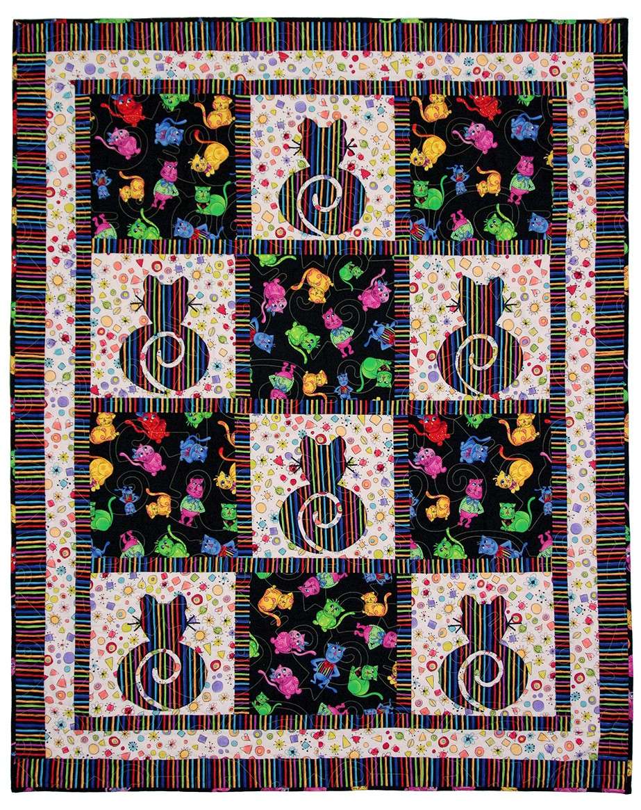 Amazing 3 Yard Quilts for Kids: Revised 2nd Edition