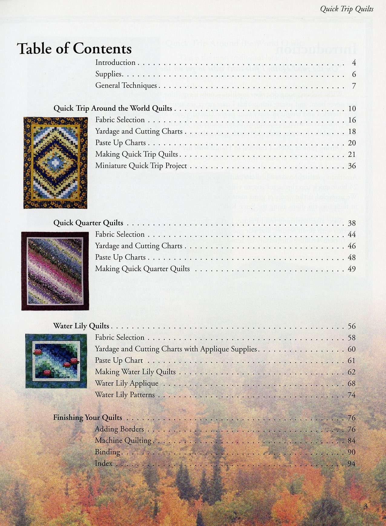Eleanor's Quick Trip Quilts: Your Dream Quilting Adventure