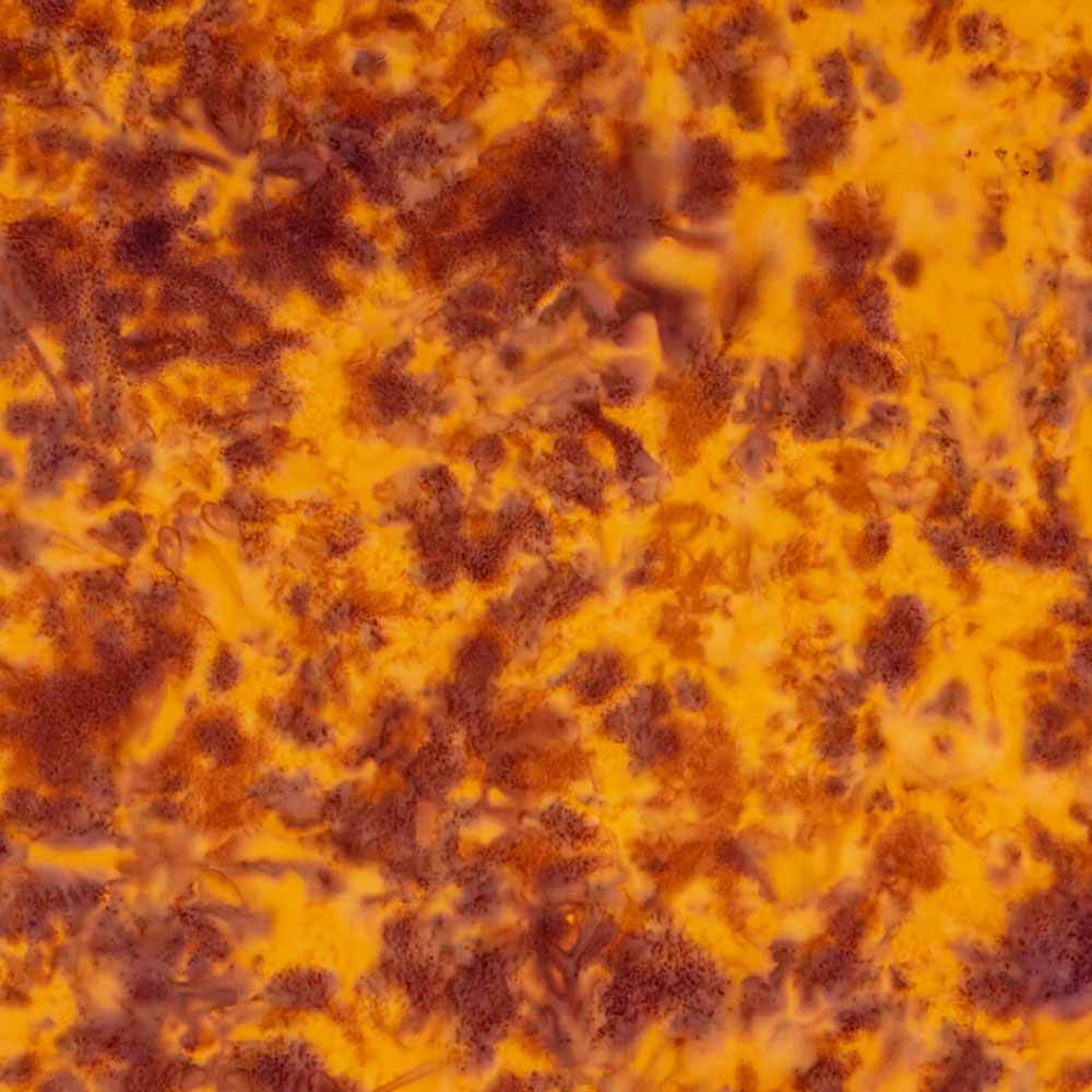 Riley Blake's Hand-Dyed Batiks in Golden Paprika - Yardage for Creative Minds!