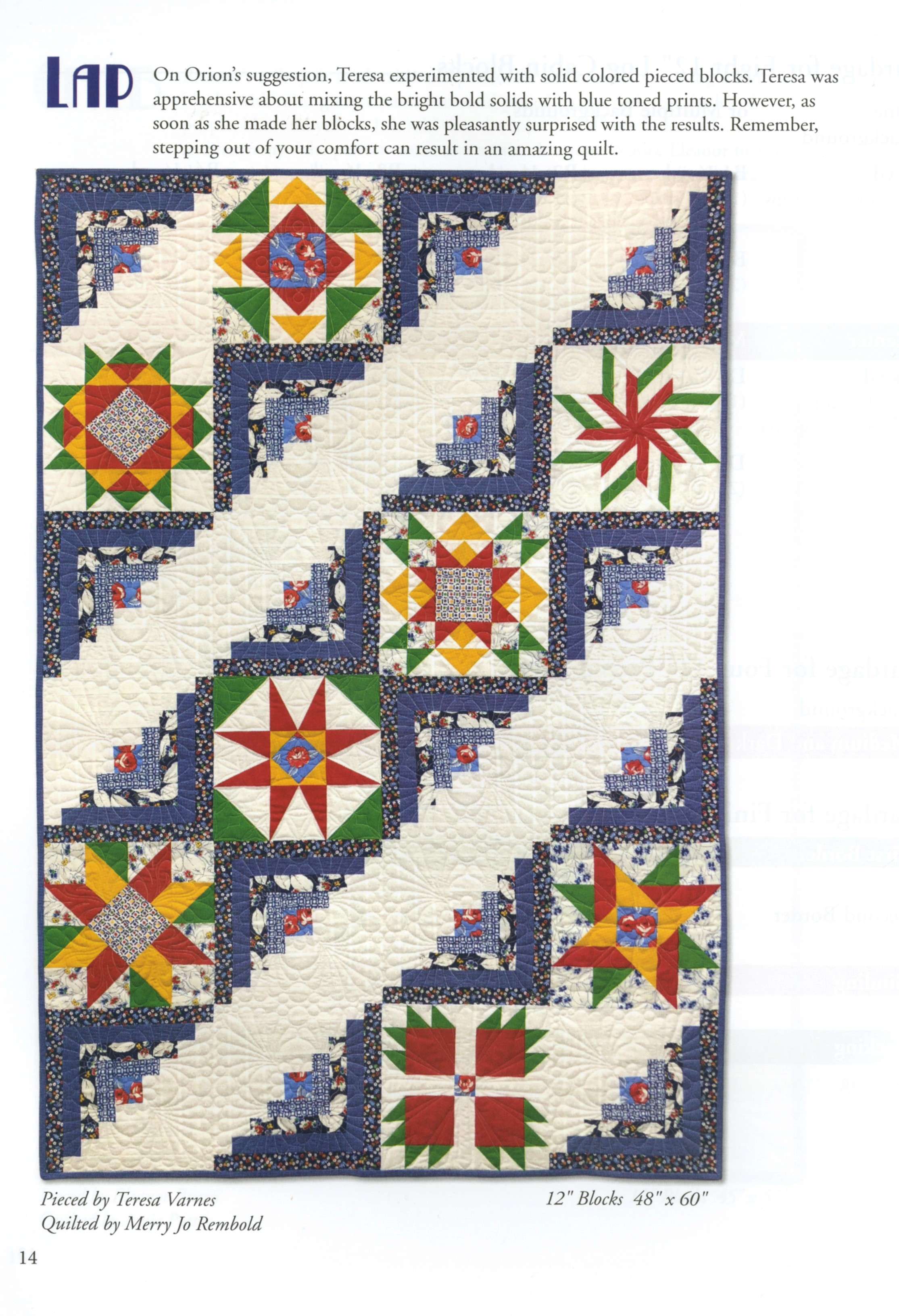 Forty Fabulous Years: A Quilting Celebration