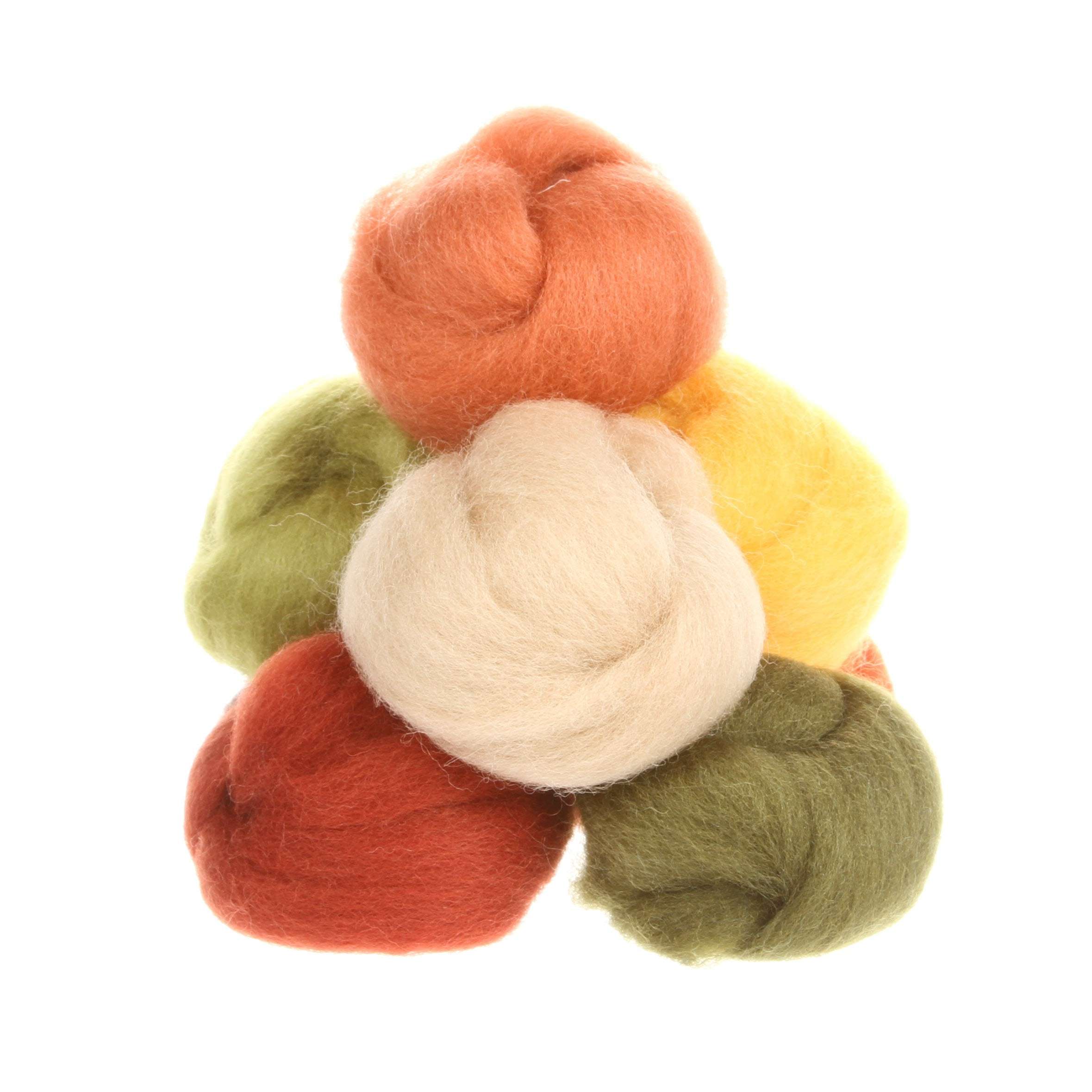 Autumn Bliss Wool Roving Assortment