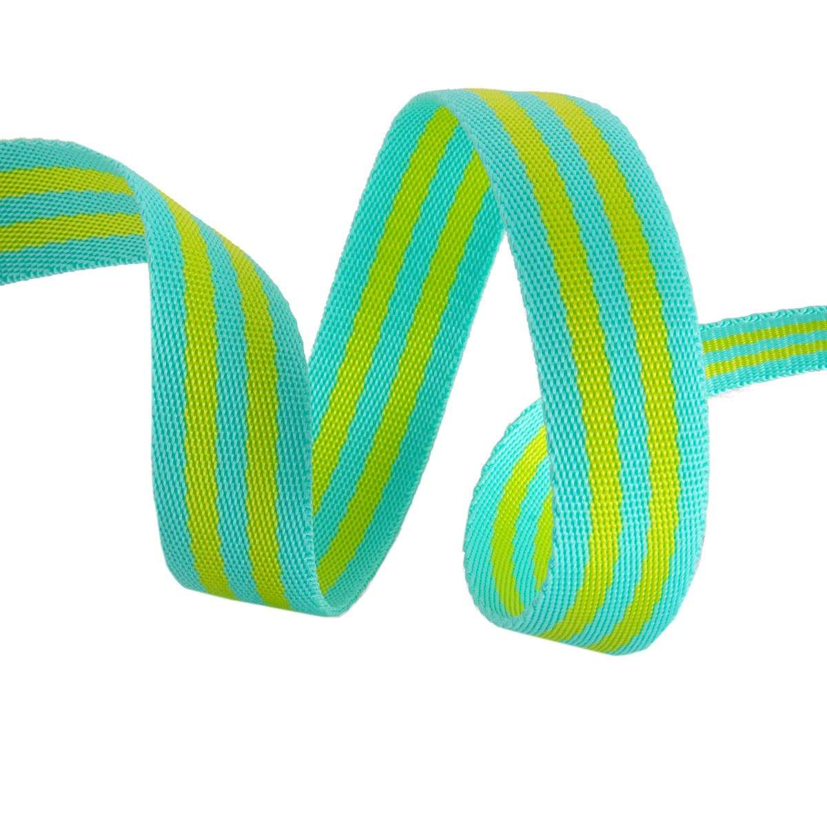 Tula Pink Stunning Lime and Turquoise Nylon Webbing - 2 Yards x 1 Inch