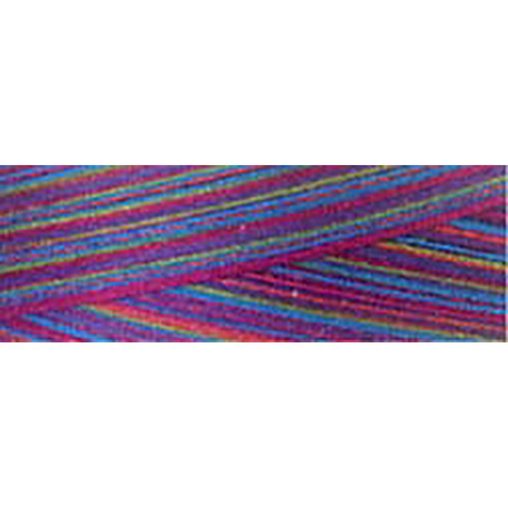Stunning Variegated 3 - ply 40wt 3000yds Cotton Quilting Thread Fad 5