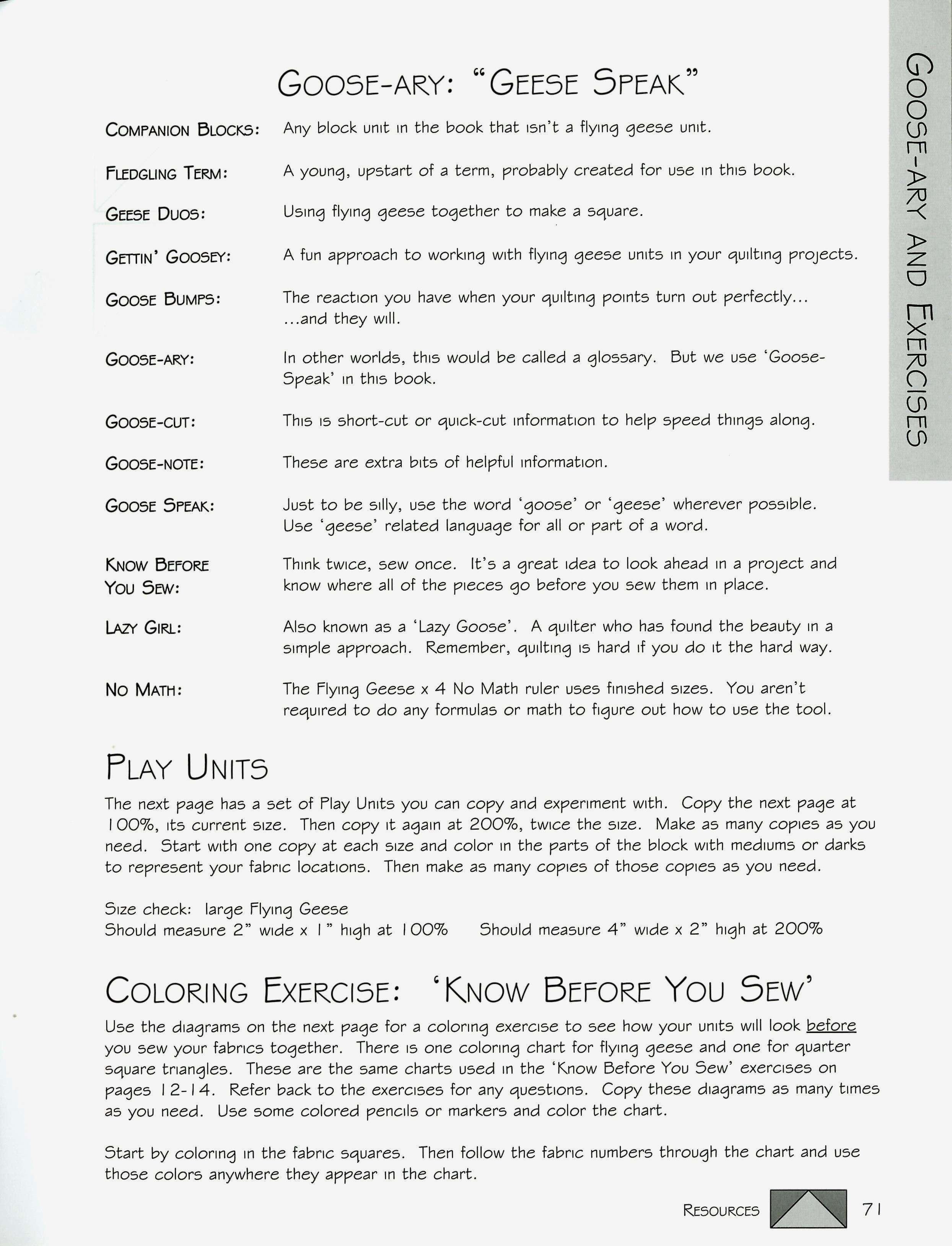 Amazing Flying Geese & More: Unleash Your Creativity!