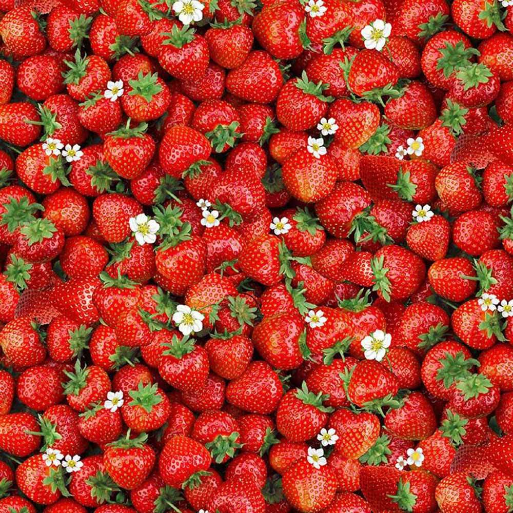 Timeless Treasures - Berry Sweet: Irresistible Red Strawberry Prints by the Yard