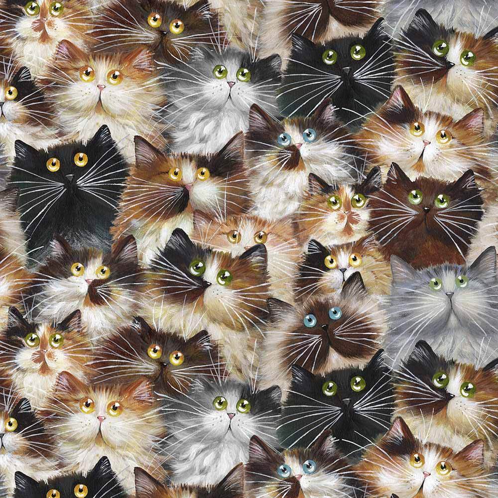 Windham Fabrics - Cat Pack - 108-Inch Wide 3-Yard Backing Fabric Bundle
