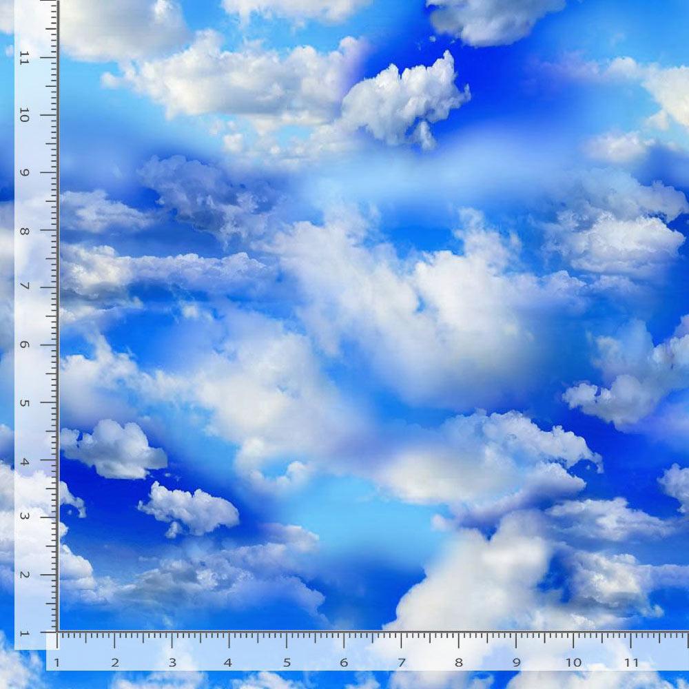 Timeless Treasures Sky 108-Wide Yardage - Unleash Your Creativity!